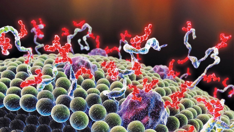 Center for Nanotechnology in Drug Delivery 2